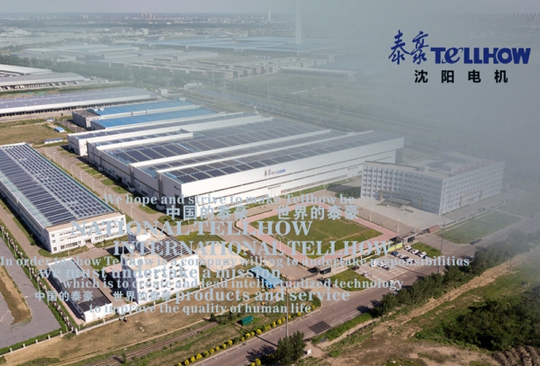 天行体育沈电综合样本